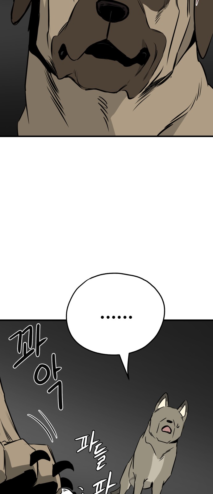 51 페이지