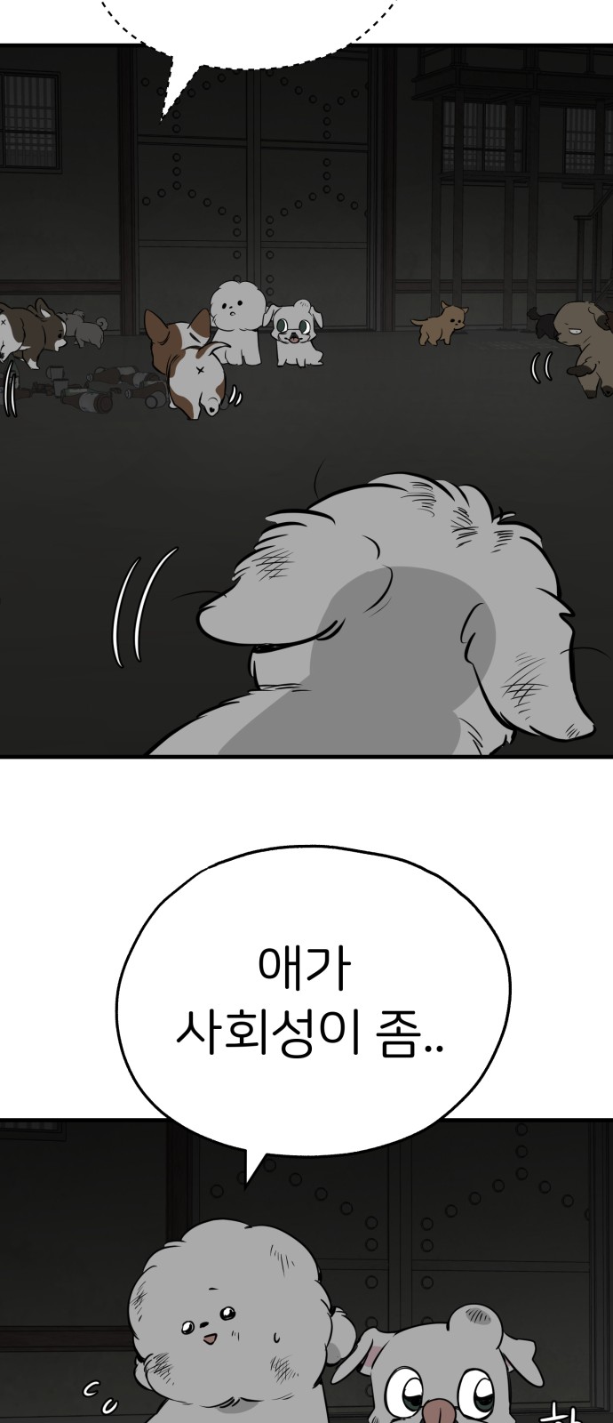 43 페이지