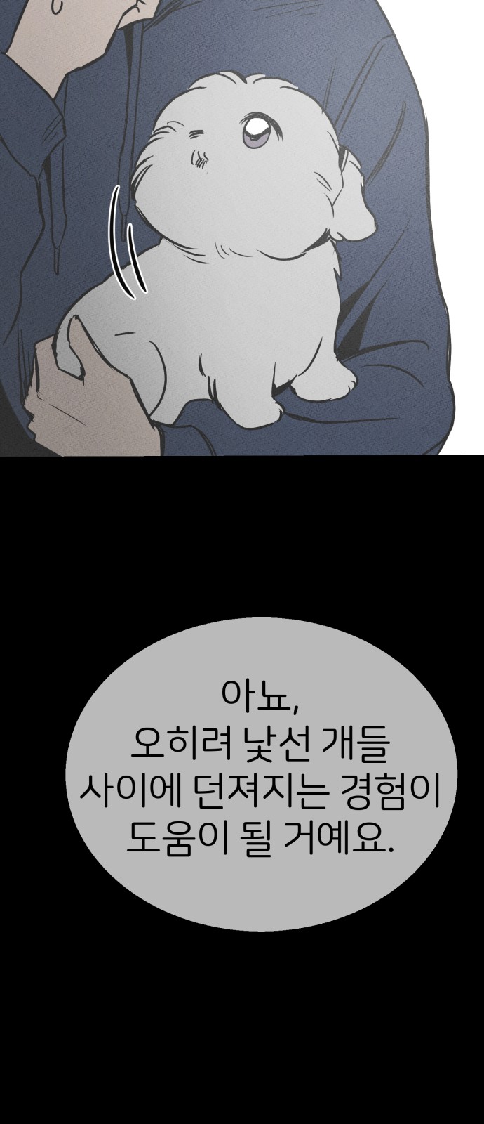56 페이지