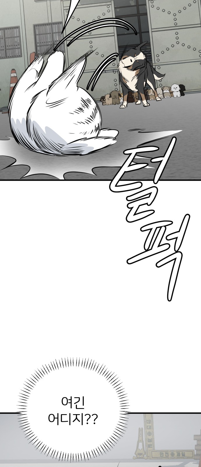 64 페이지