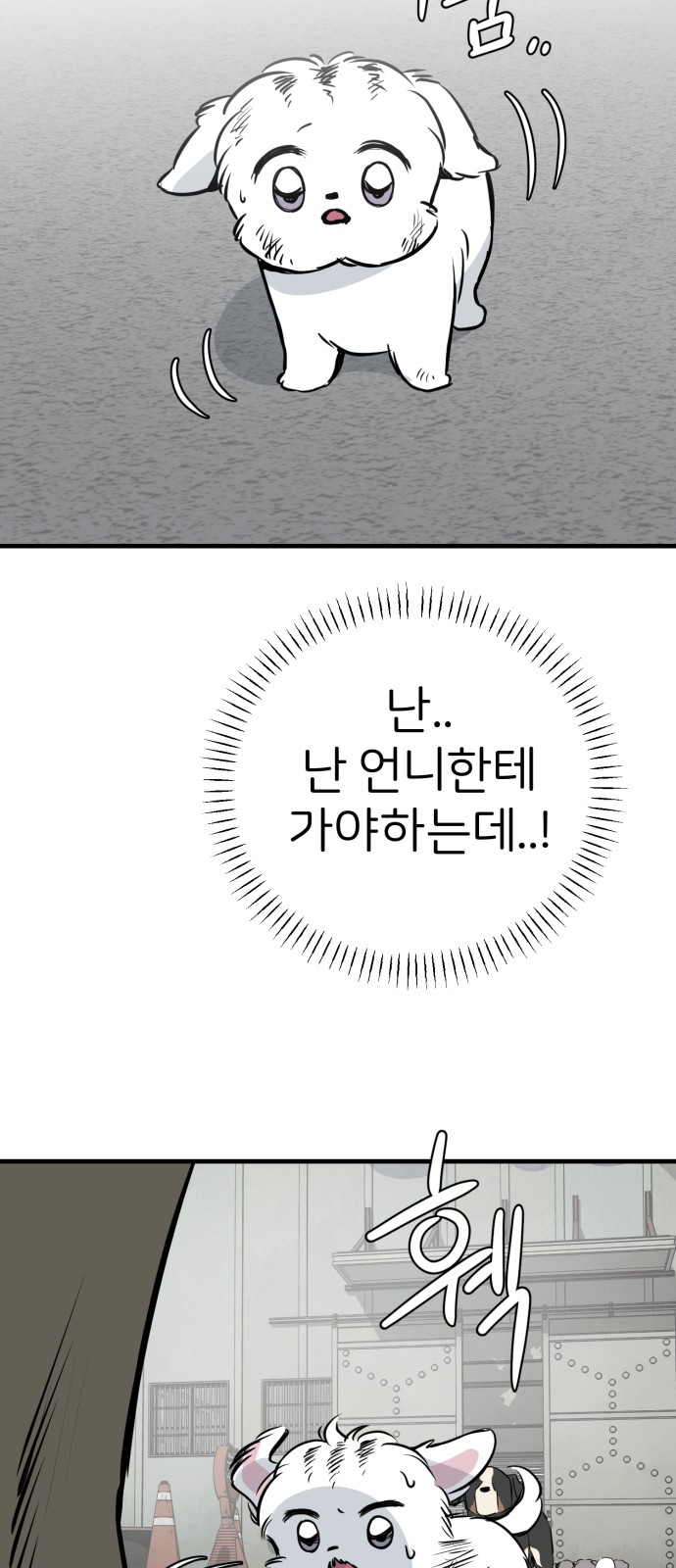 68 페이지