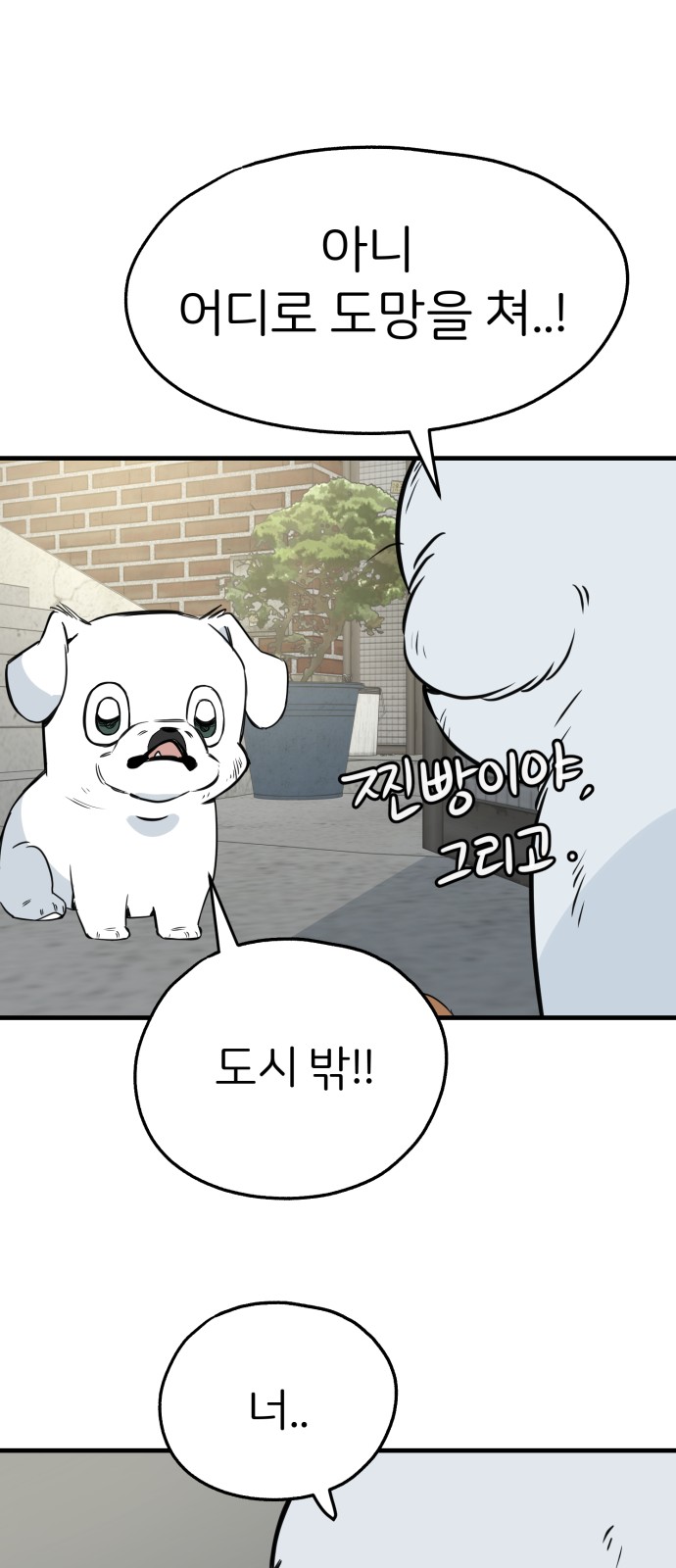 17 페이지