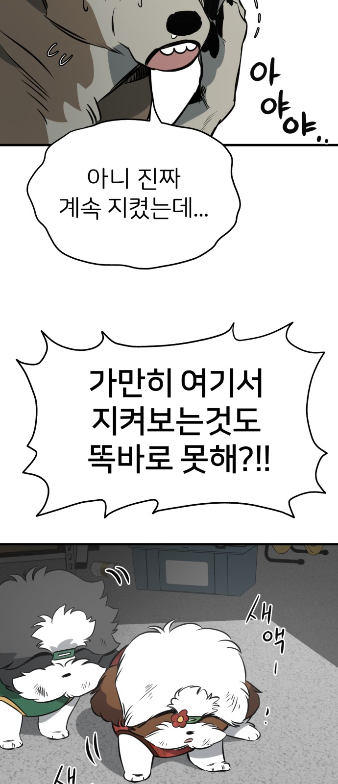 44 페이지