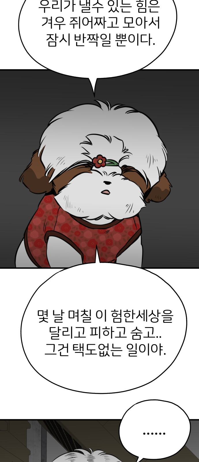 66 페이지