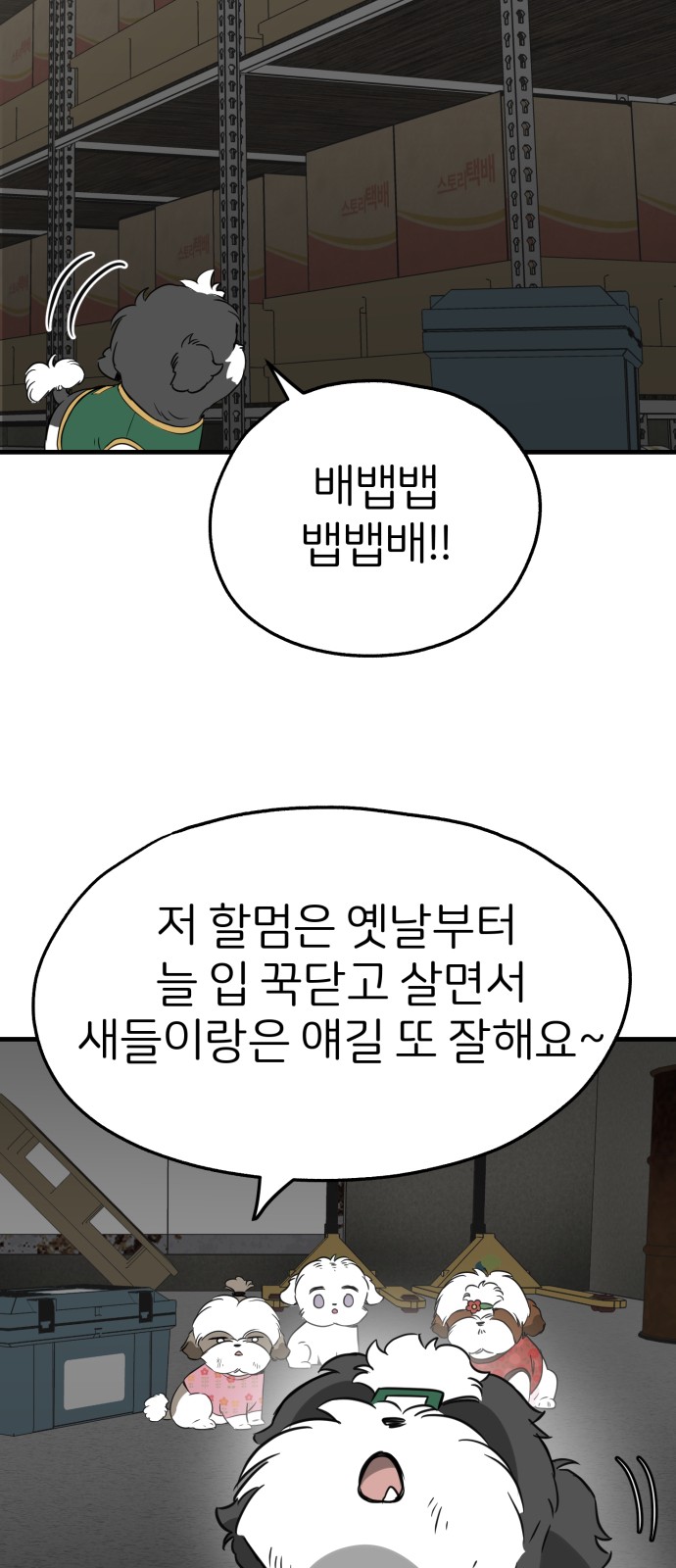 5 페이지
