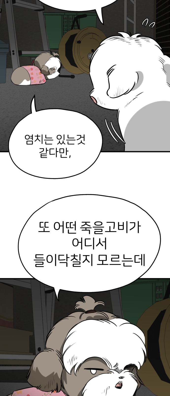 51 페이지