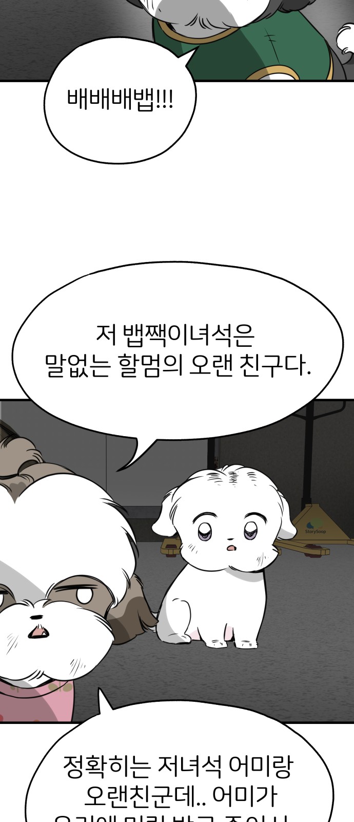 6 페이지