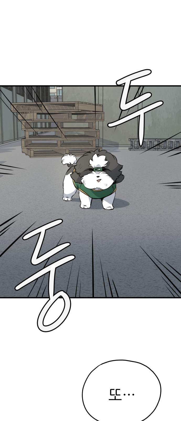 63 페이지