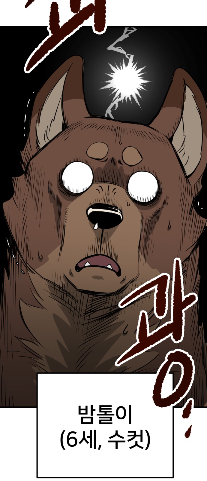 74 페이지