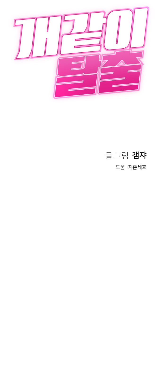 71 페이지