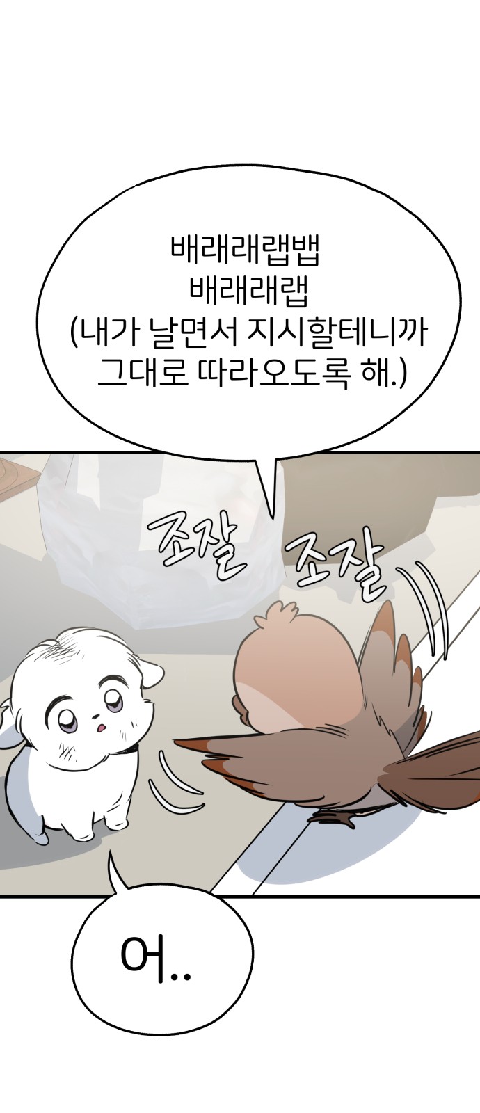 13 페이지