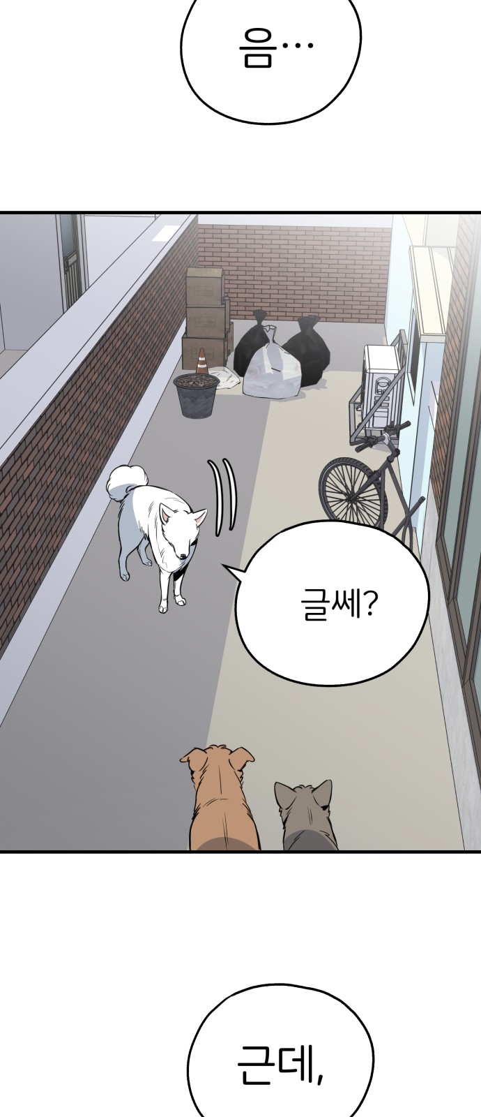 37 페이지