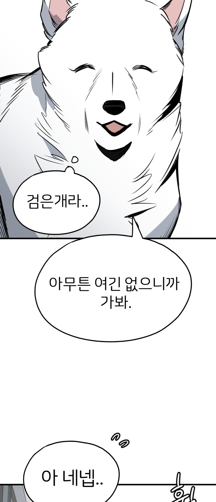 43 페이지