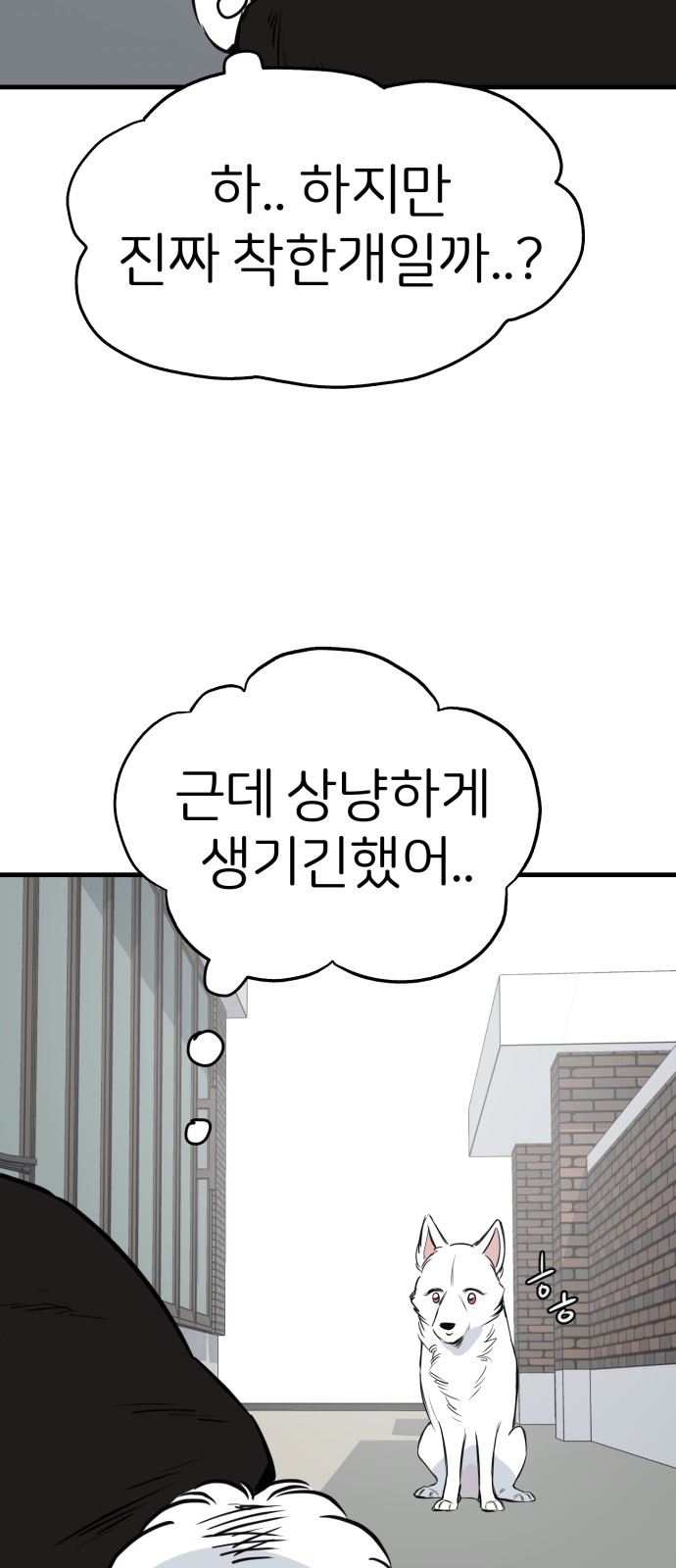 46 페이지