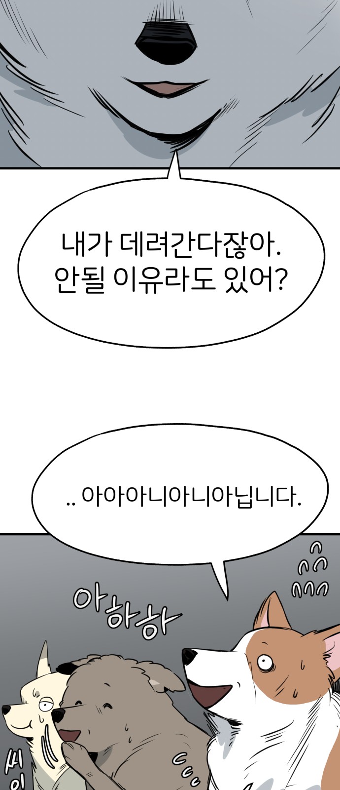 62 페이지