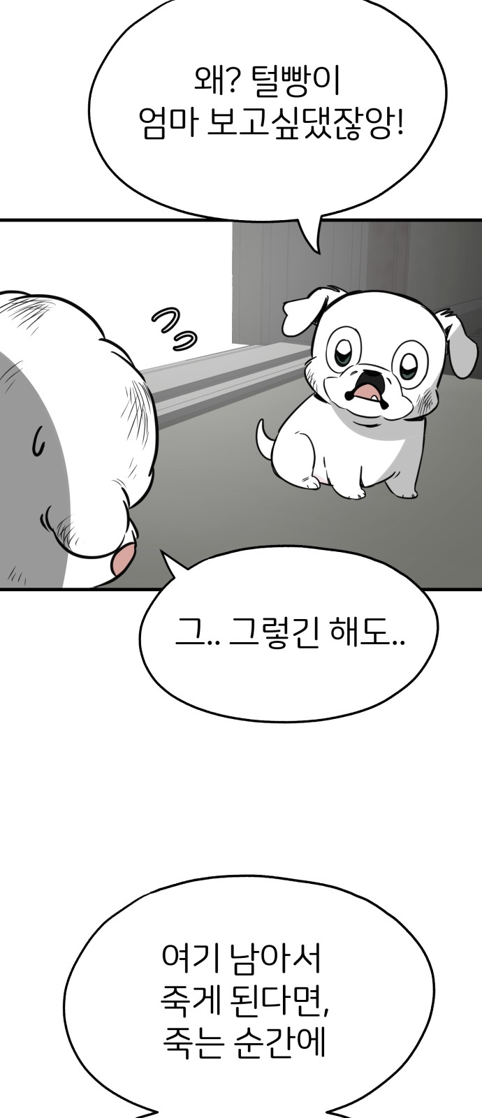 45 페이지