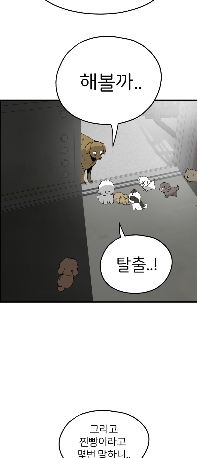 50 페이지