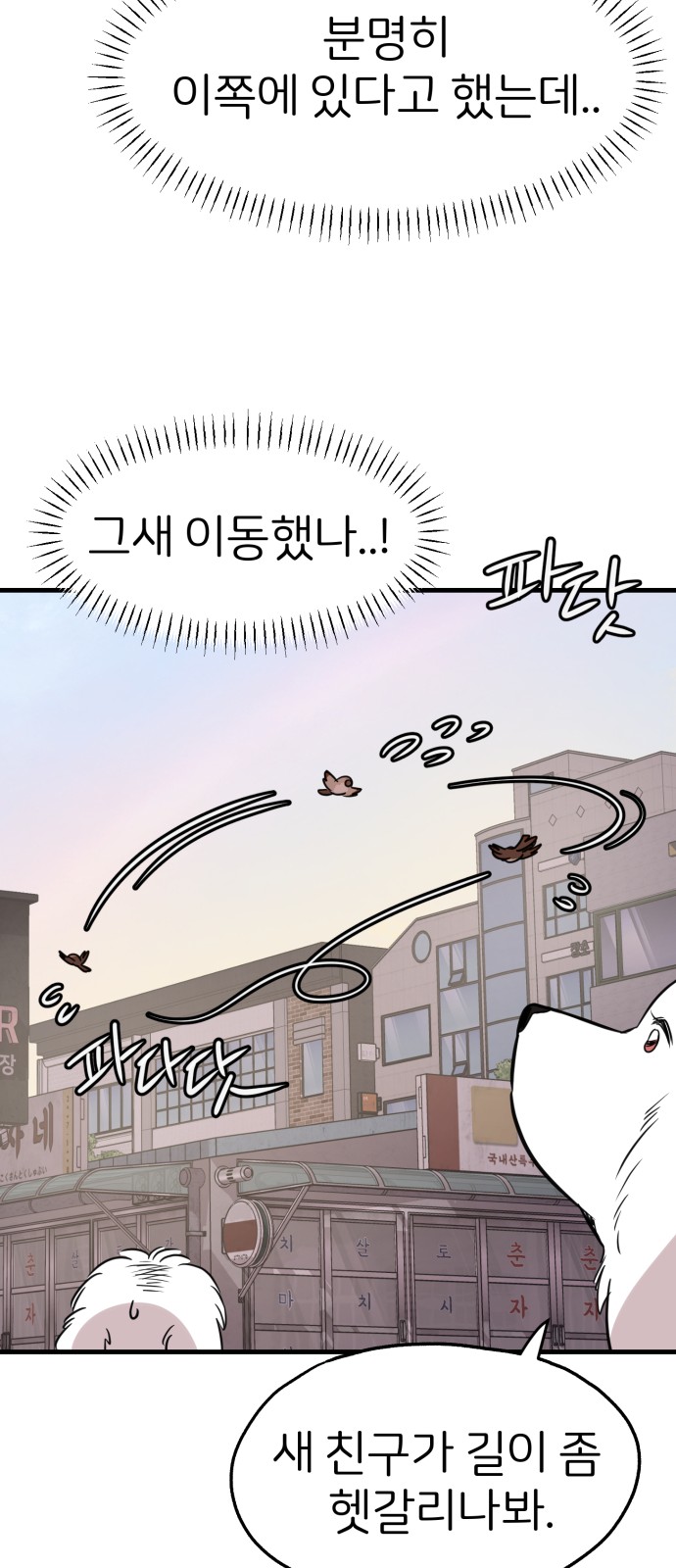 53 페이지