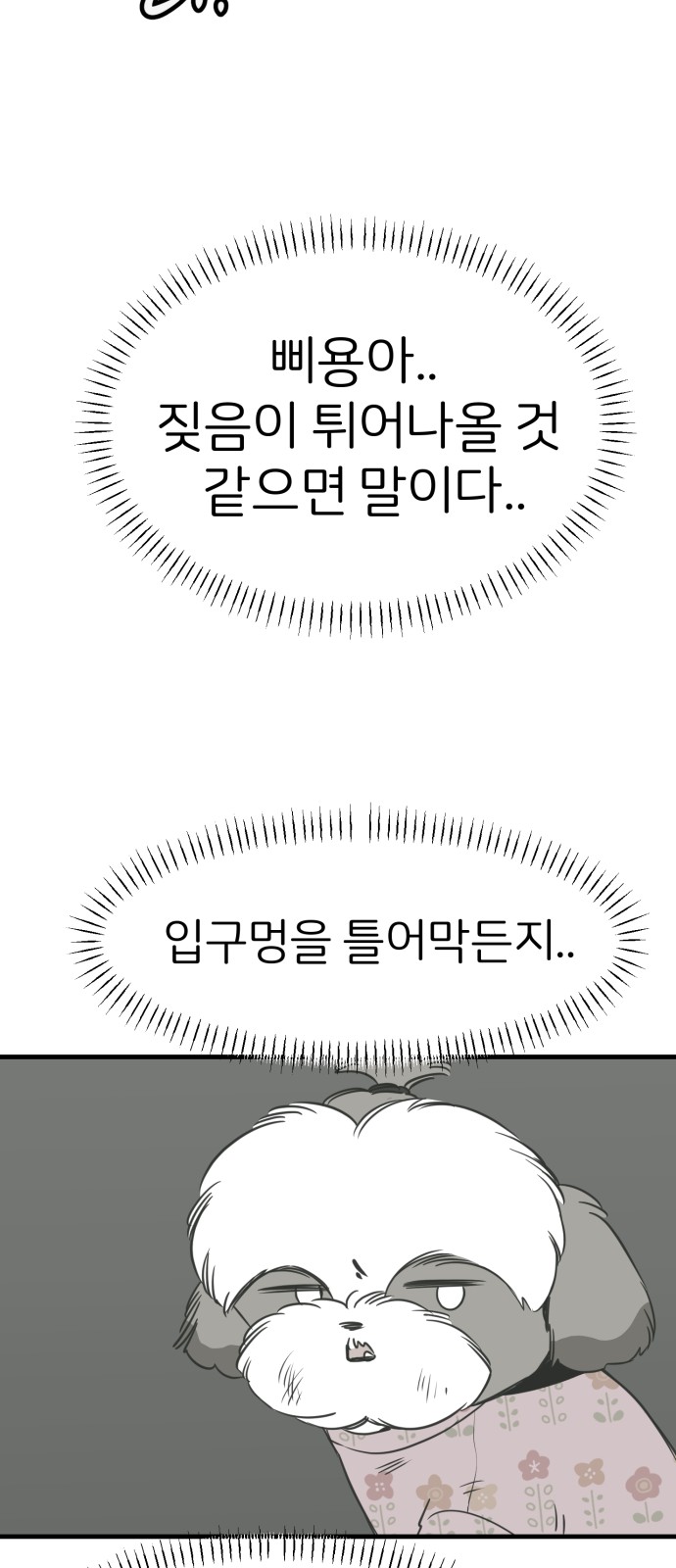 69 페이지