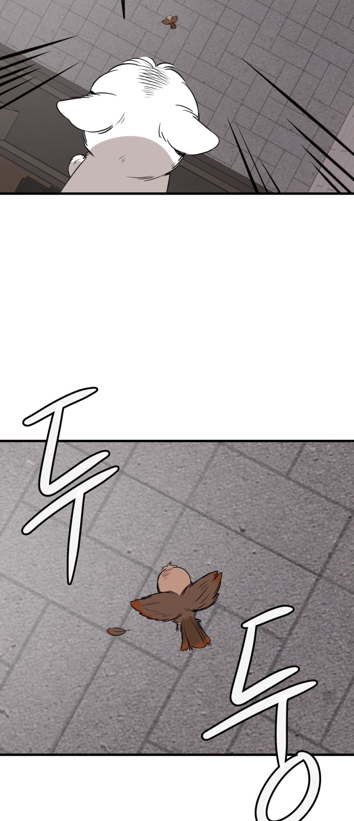 77 페이지