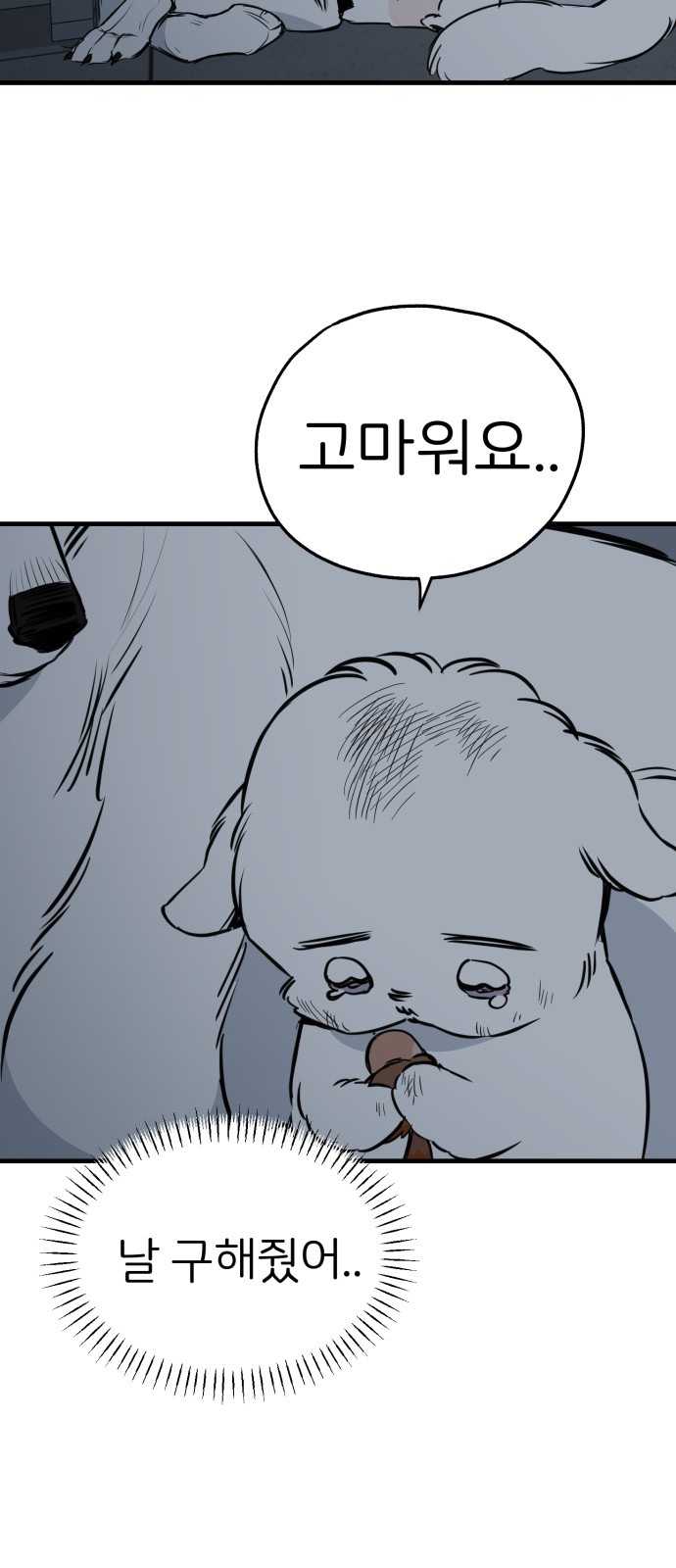 52 페이지