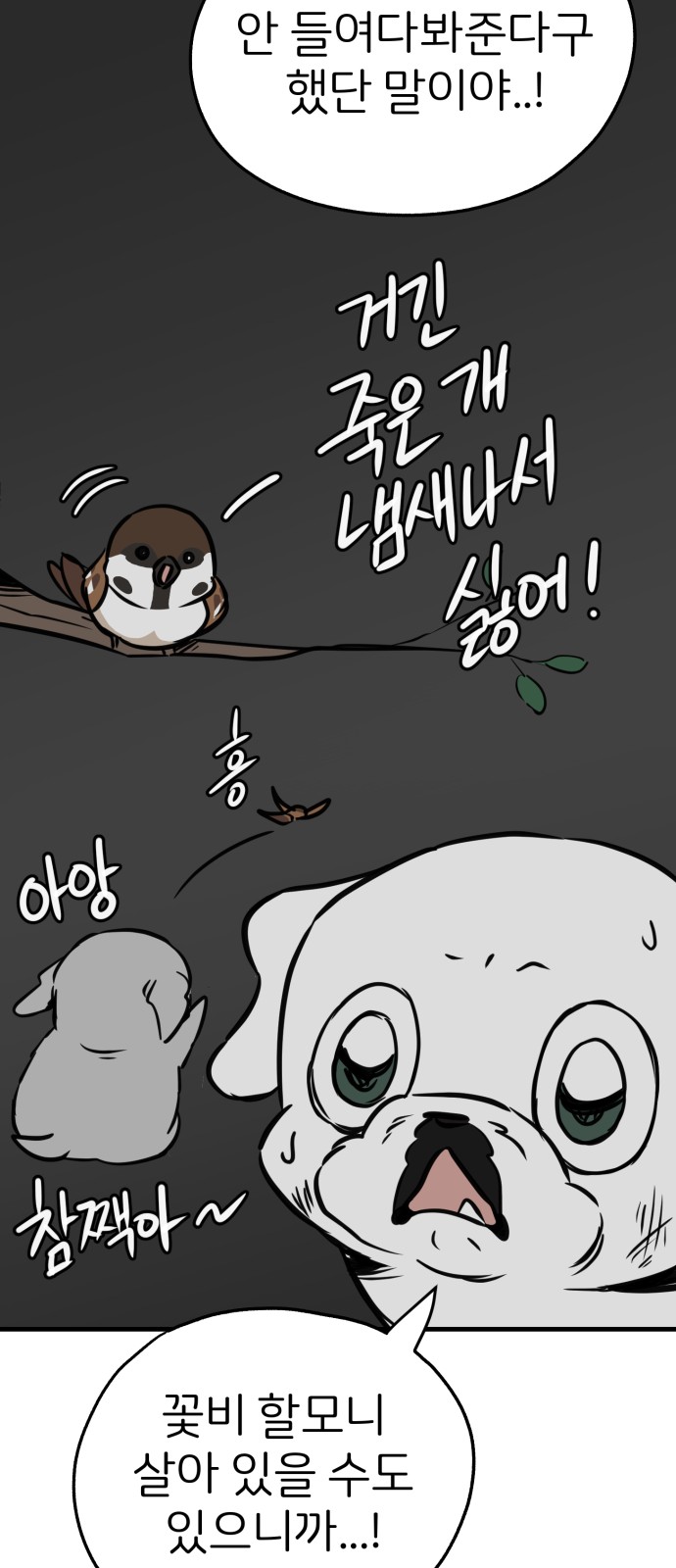 62 페이지