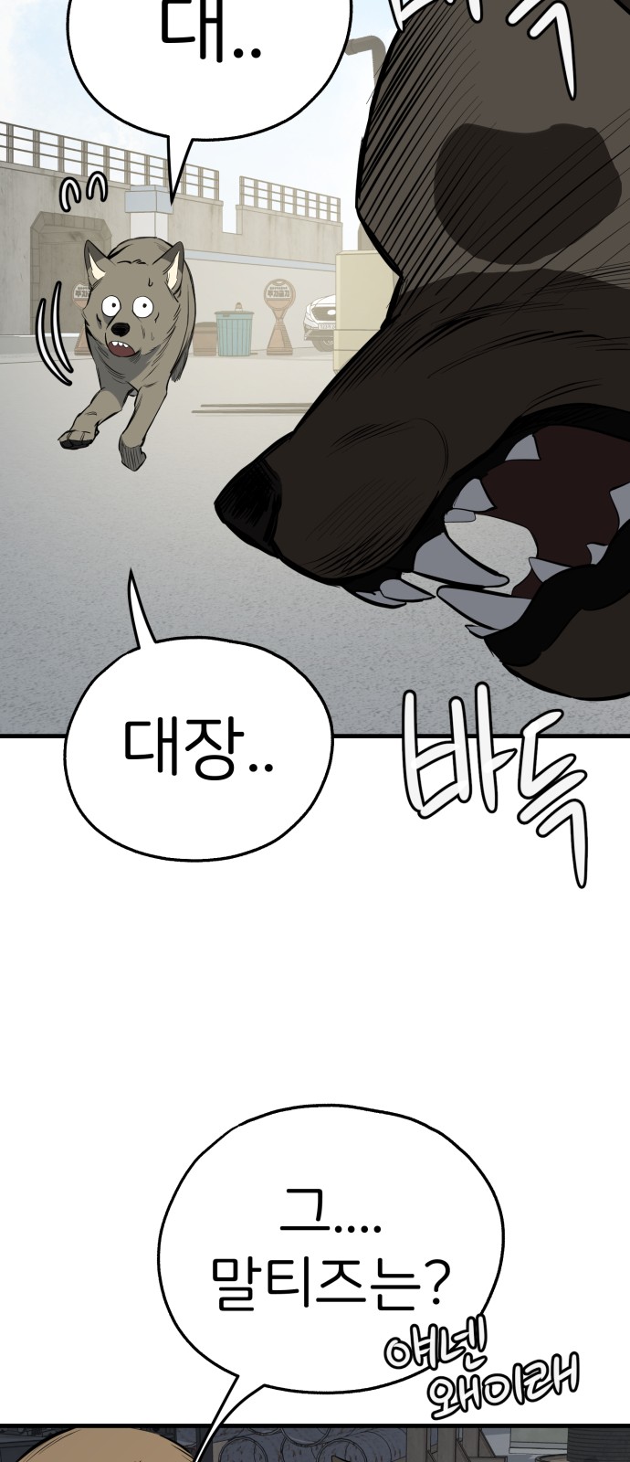 41 페이지