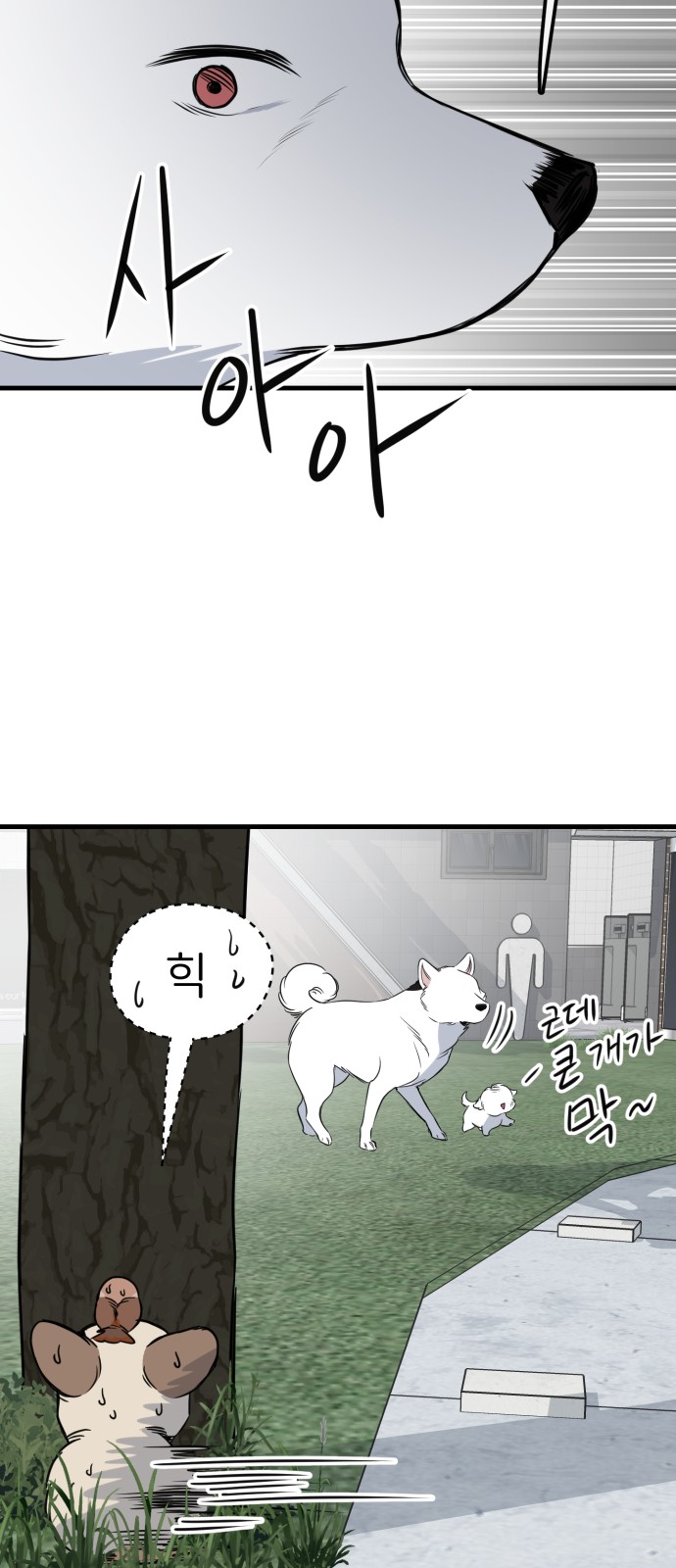 45 페이지