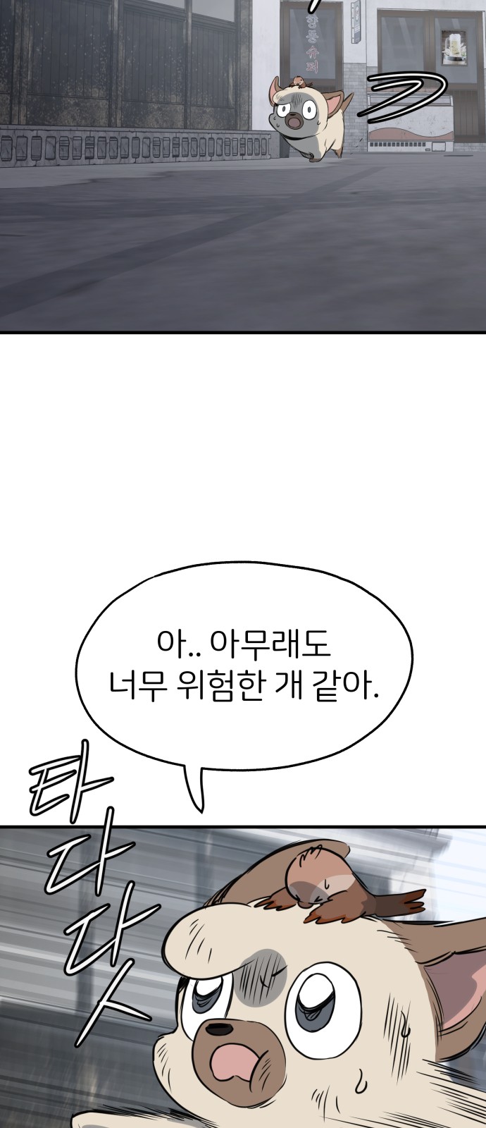 50 페이지