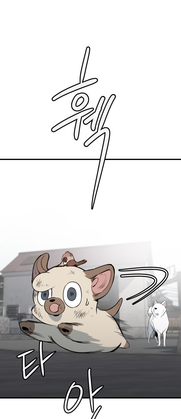 54 페이지