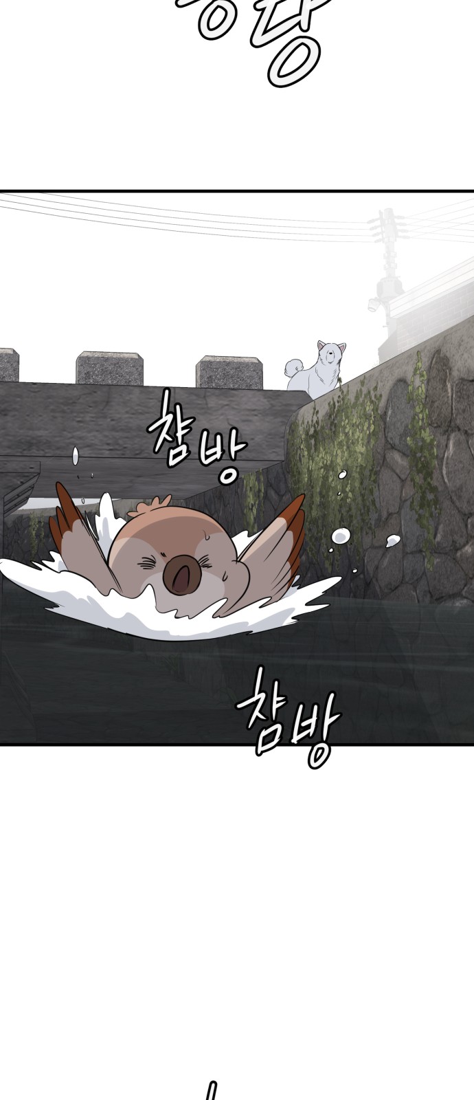 70 페이지
