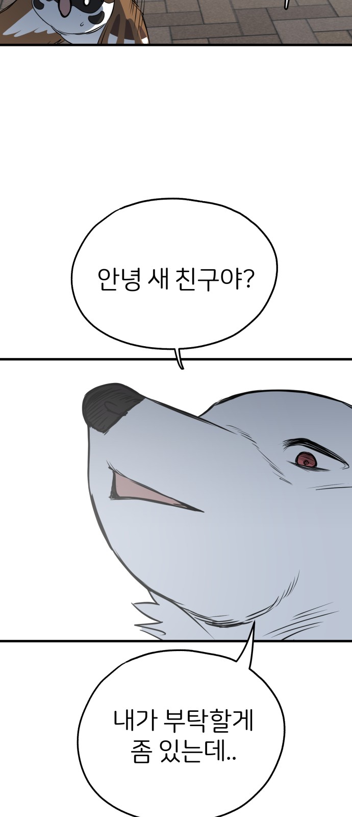 43 페이지