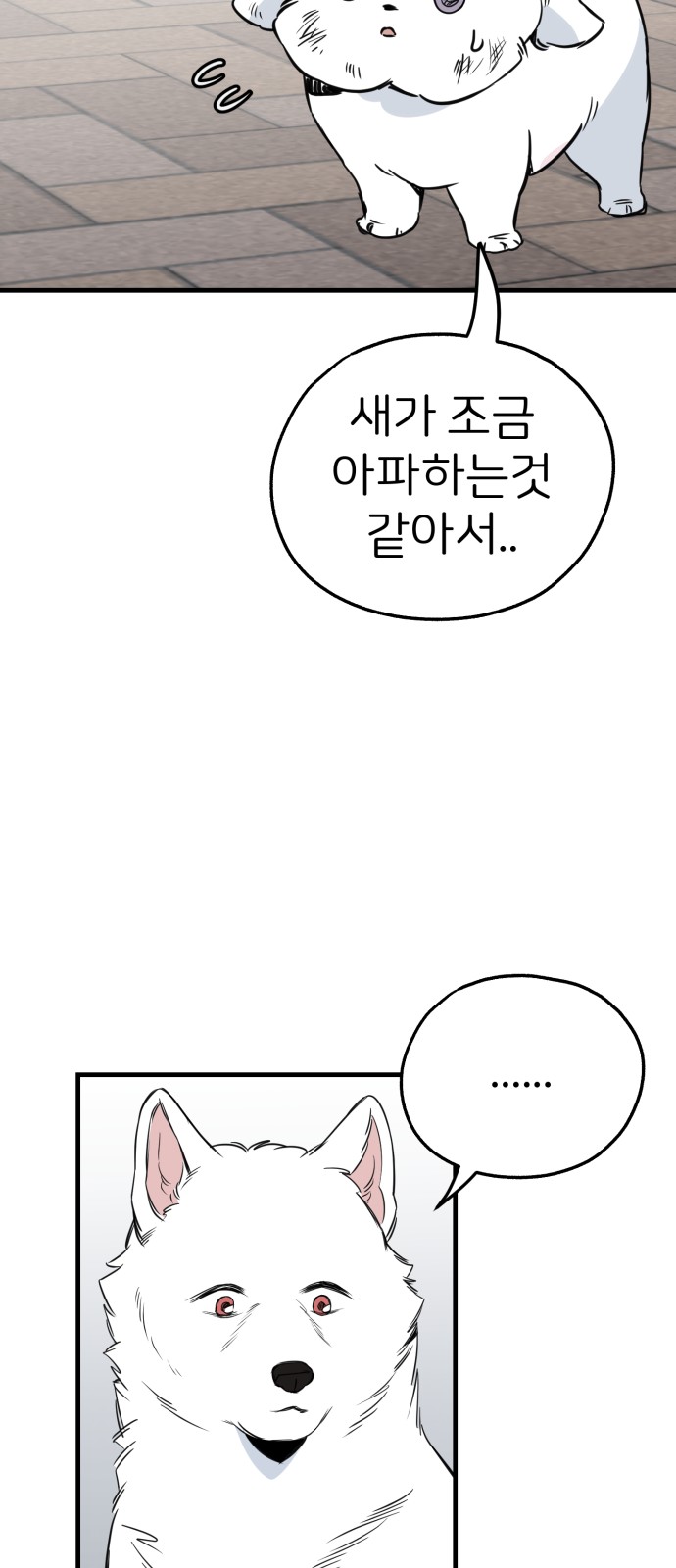 48 페이지