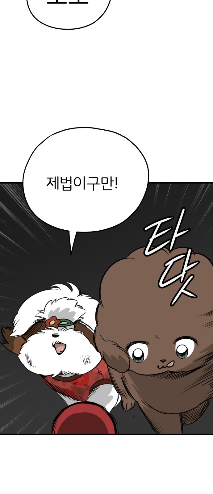 29 페이지