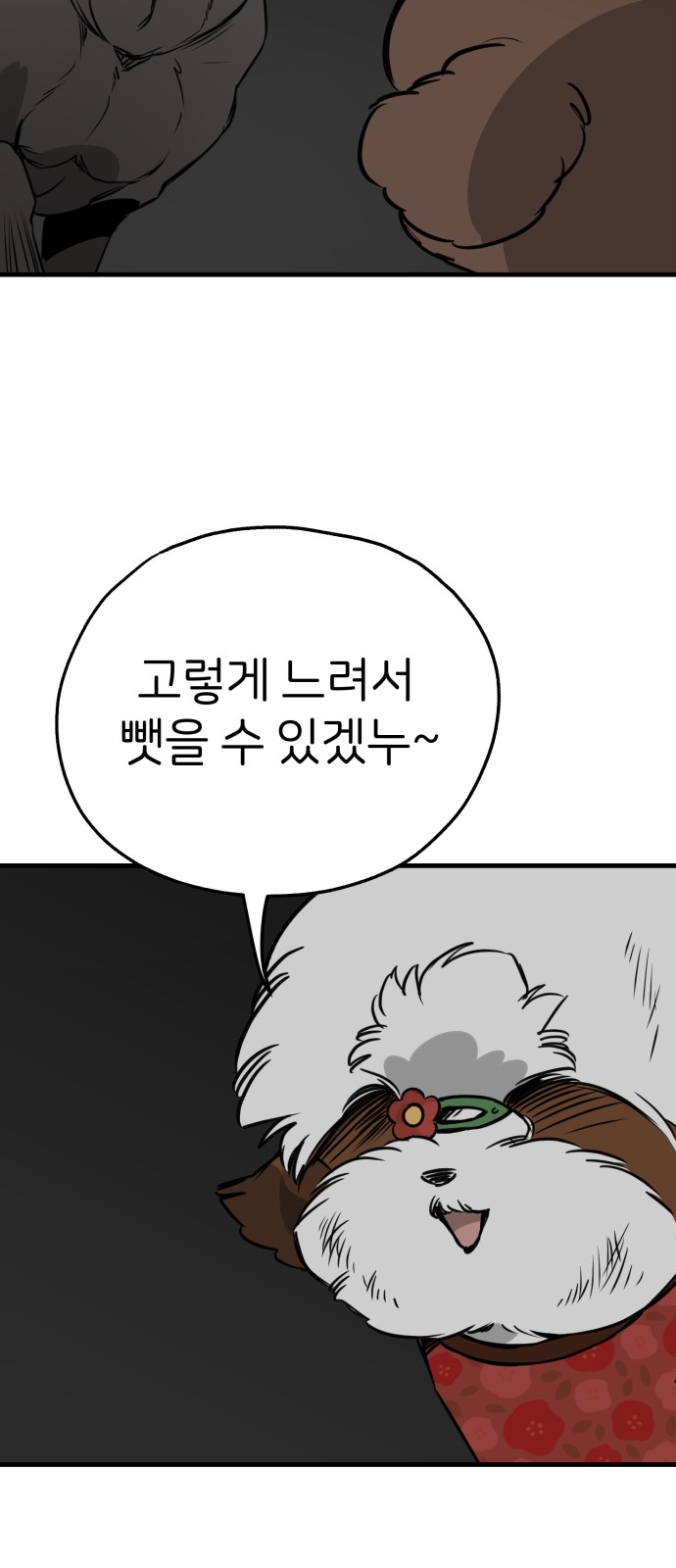 37 페이지