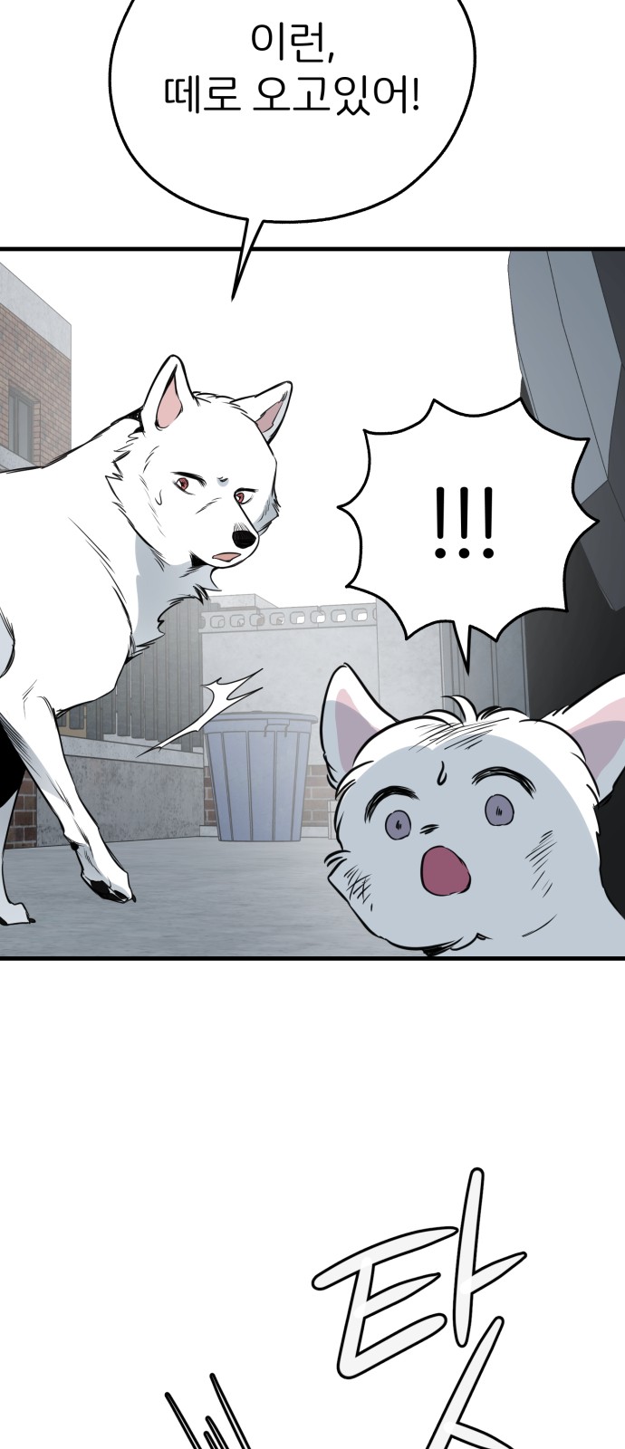 15 페이지
