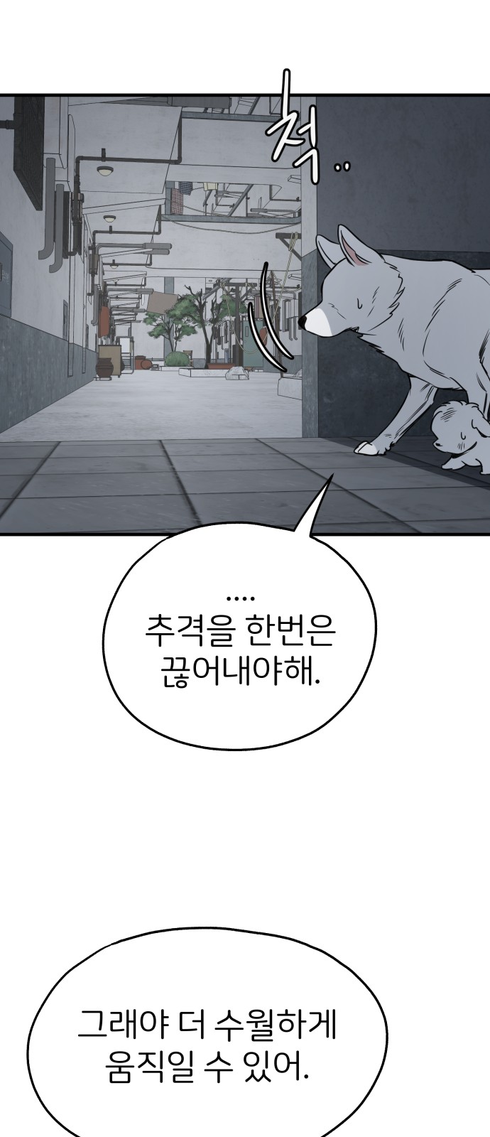 53 페이지