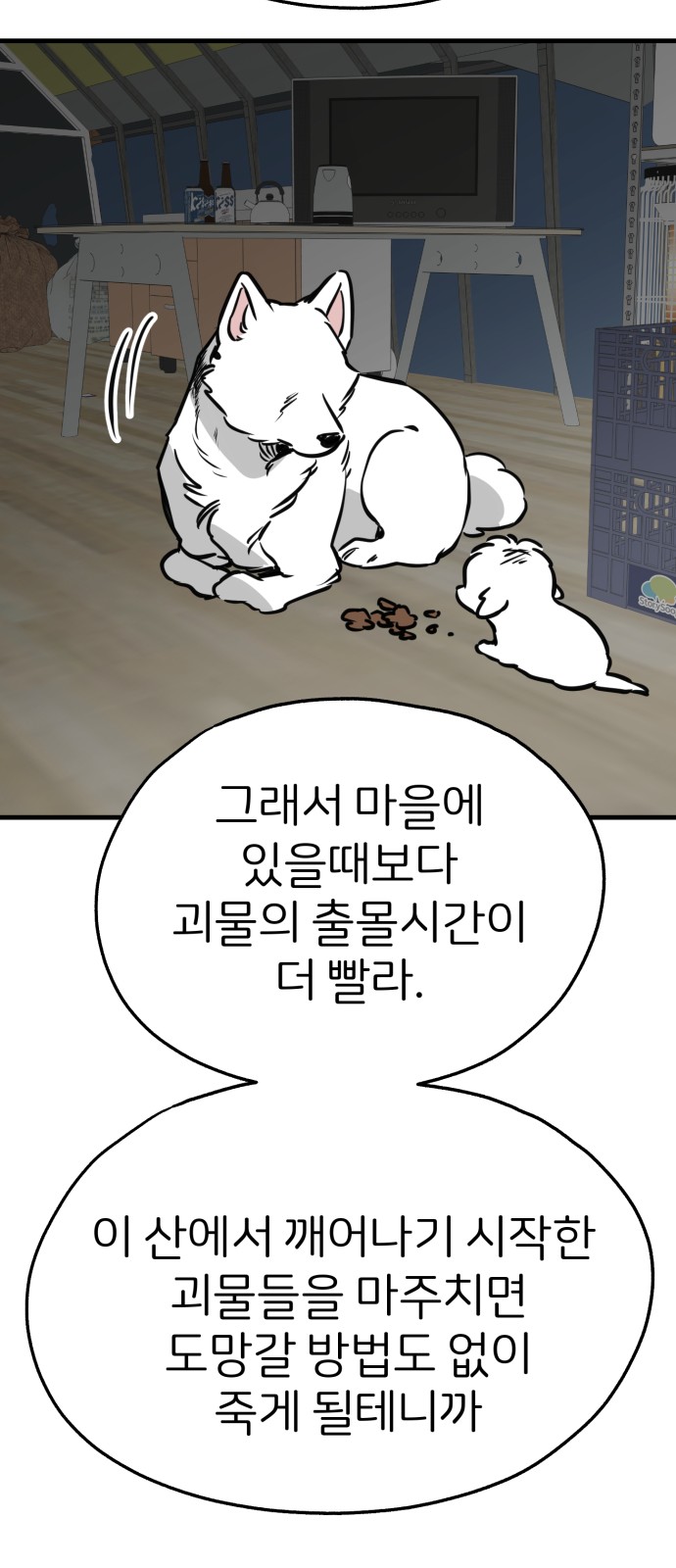 15 페이지