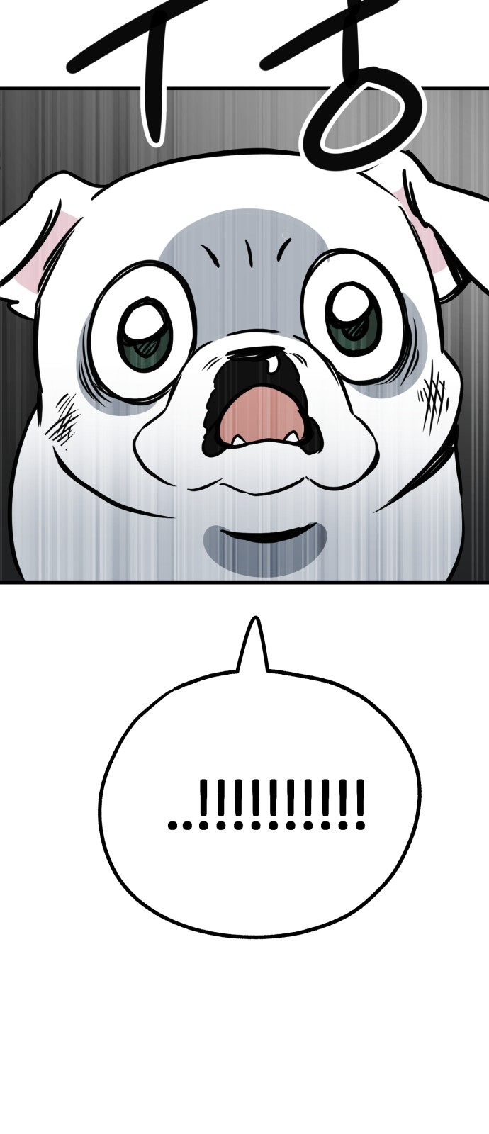 64 페이지