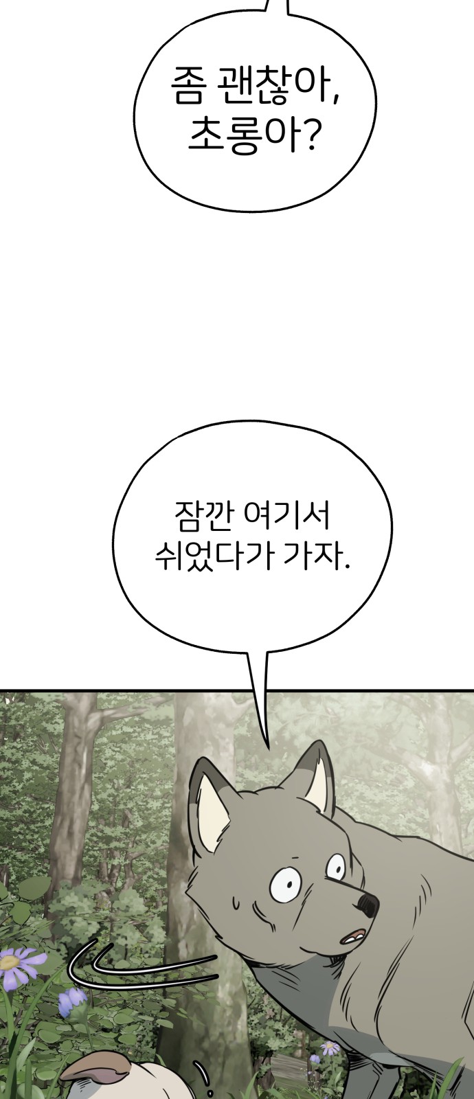 56 페이지