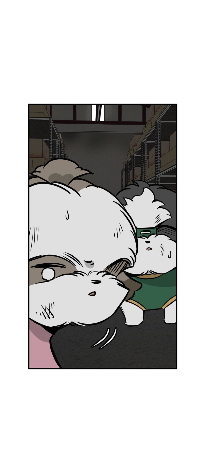 14 페이지
