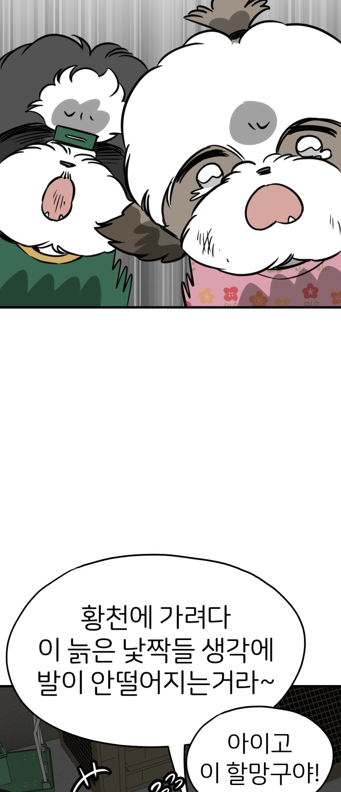 17 페이지