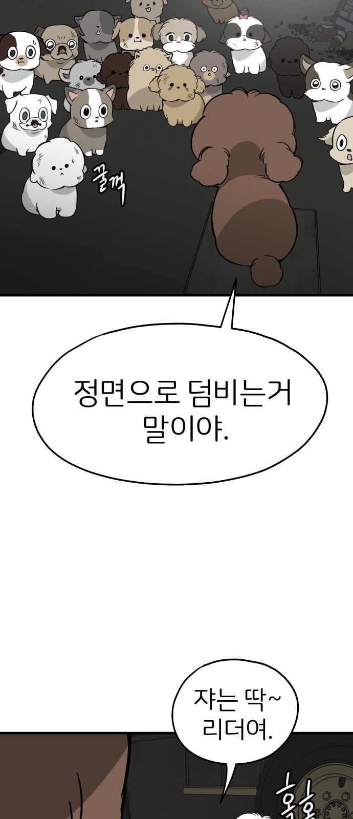 22 페이지
