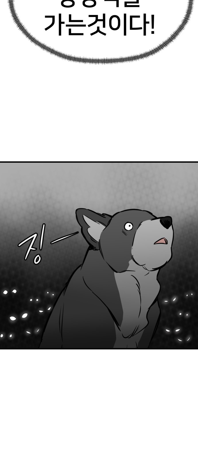 66 페이지