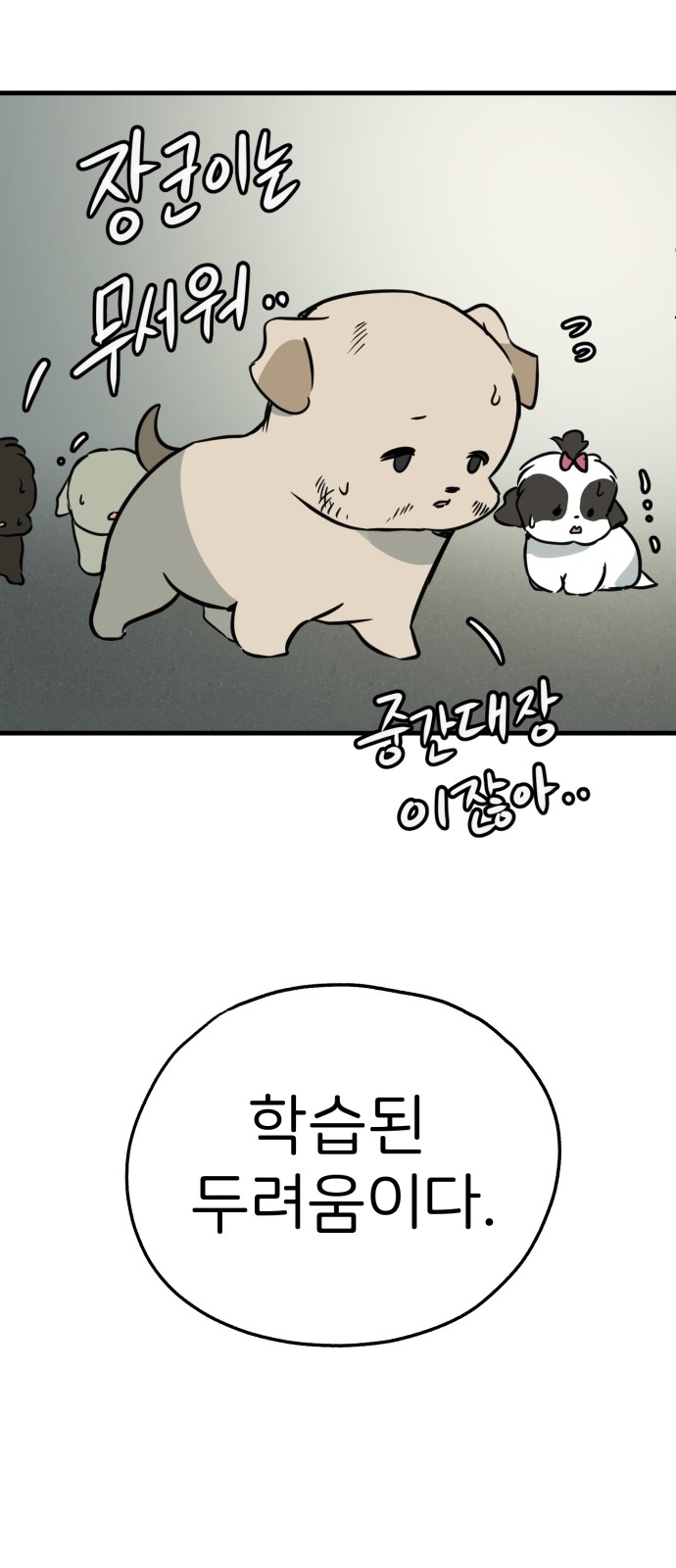 27 페이지