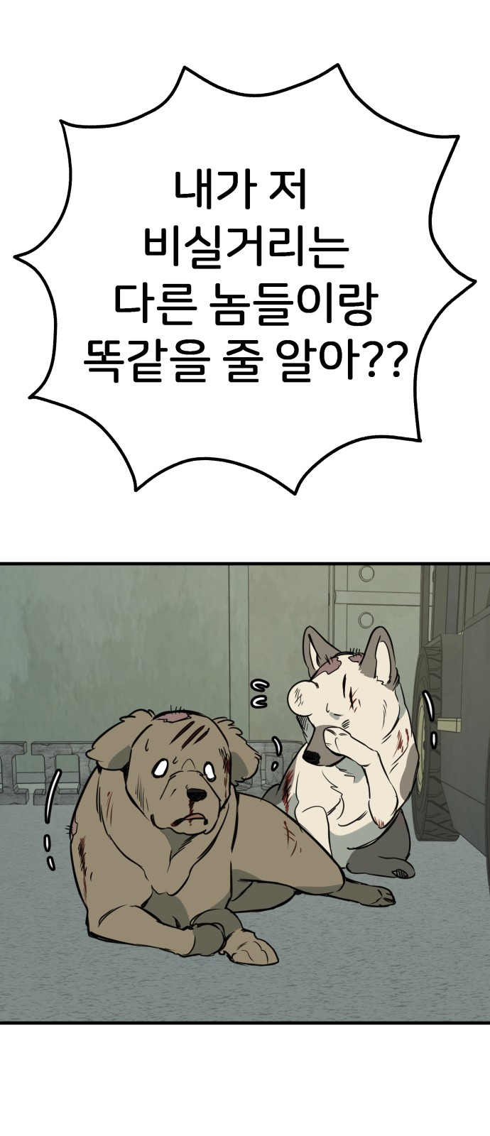 33 페이지