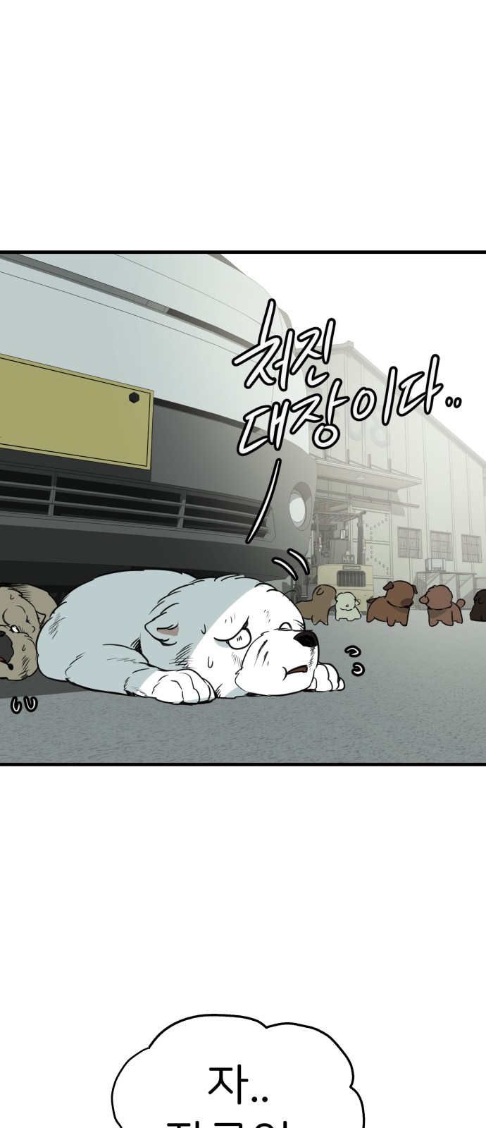 5 페이지