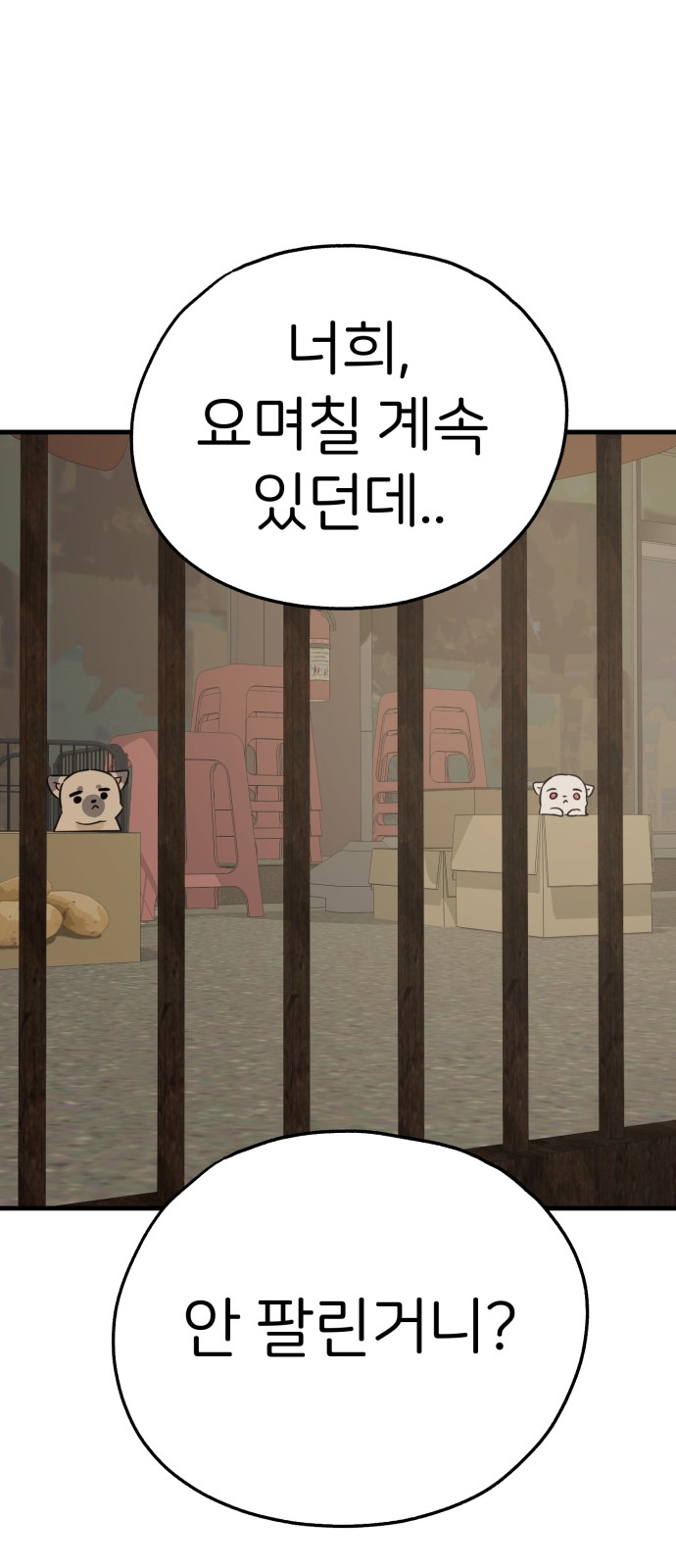 10 페이지