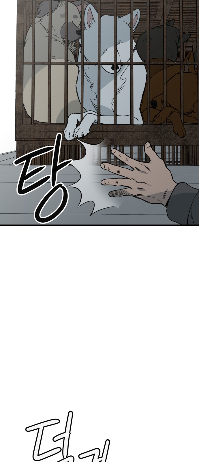 66 페이지