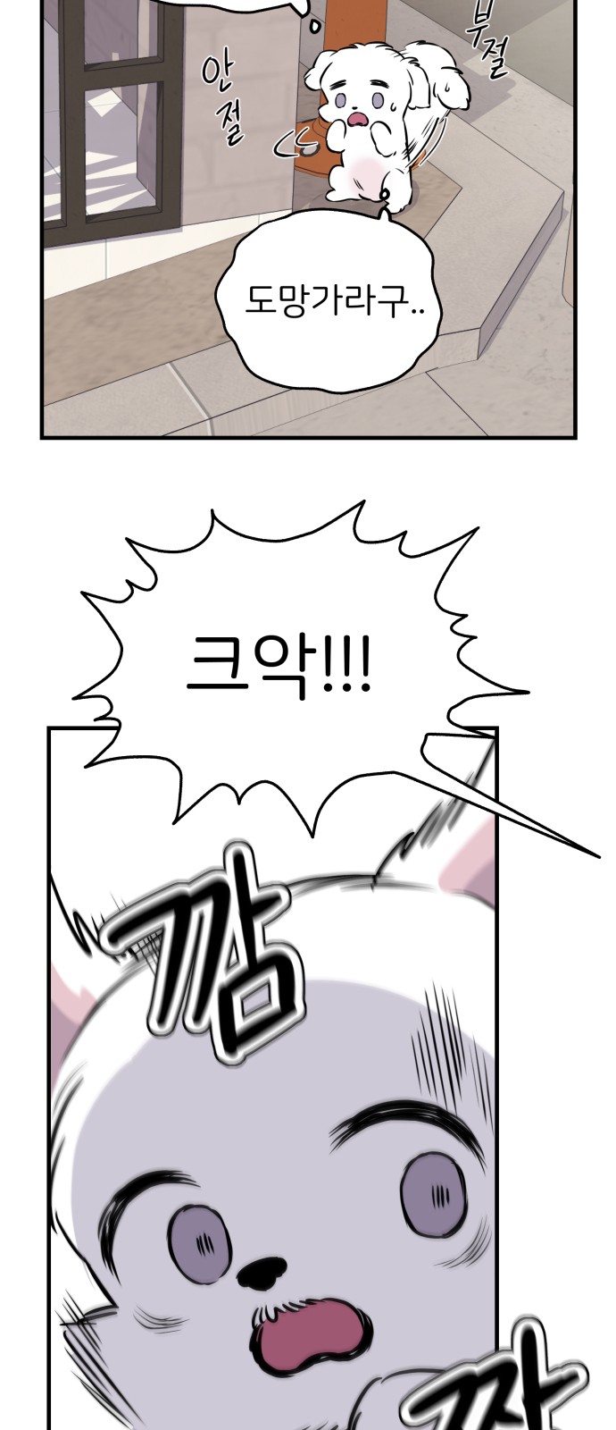 19 페이지